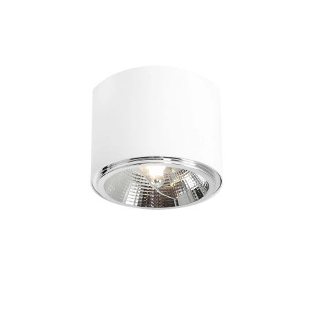 Lampa sufitowa biała tuba reflektor spot do kuchni 1046PL_G z serii BOT
