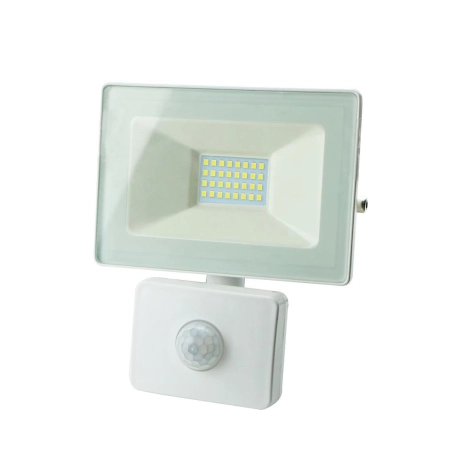 Naświetlacz LED biały z czujnikiem ruchu 30W 4000K IP65 EKO-LIGHT EKN3322