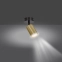Złota lampa typu reflektor z regulacją kąta świecenia 622/1 serii ZEN - 2
