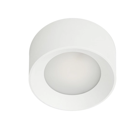 Lampa do łazienki ⌀20,4cm zmienna barwa WG-608C/WK-WW/MULTI z serii SIRIUS 2