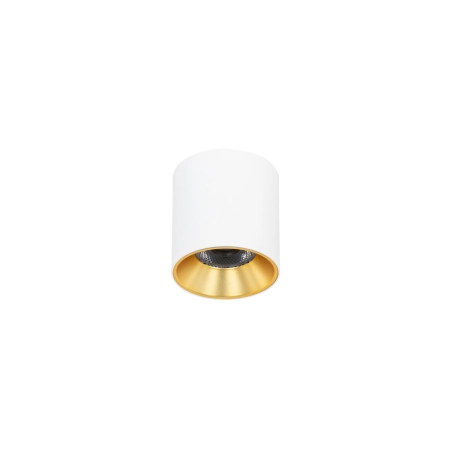 Biało-złoty spot LED ⌀7,5cm 3000K CLN-6677-75-WH-GD-3K z serii ALTISMA