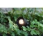 Czarny reflektor z regulowanym kątem świecenia, system GARDEN24 106930 - 3