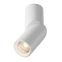 Biała oprawa punktowa, tuba LED 3000K 16cm C027CL-L10W z serii DAFNE