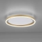 Lampa sufitowa LED w kolorze mosiądzu 15391-60 z serii RITUS 7