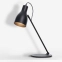 Lampka w stylu industrialnym, idealna na biurko 66145 z serii LOTTA