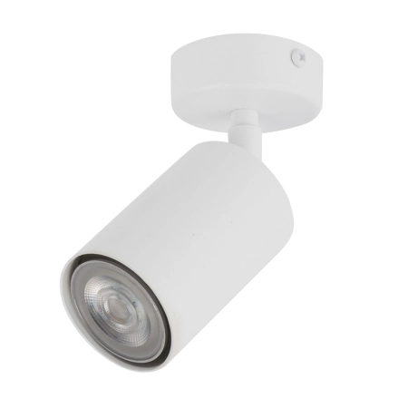 Biała lampa sufitowo-ścienna typu reflektor SIG 33314 z serii ZOOM