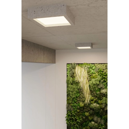 Betonowy, kwadratowy, natynkowy plafon LED 3000K SL.0995 z serii RIZA - wizualizacja