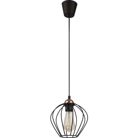 Lampa z dekoracyjnym, czarnym, drucianym kloszem TK 1640 z serii GALAXY