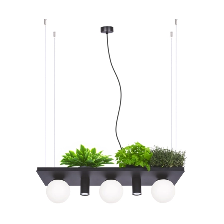 Designerska lampa wisząca z półką na kwiaty ZM 5555 z serii PLANT SHELF
